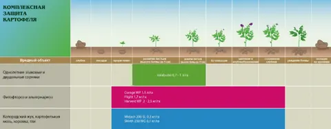 Scheme de protectie Cartof