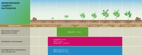 Scheme de protecție Cartof