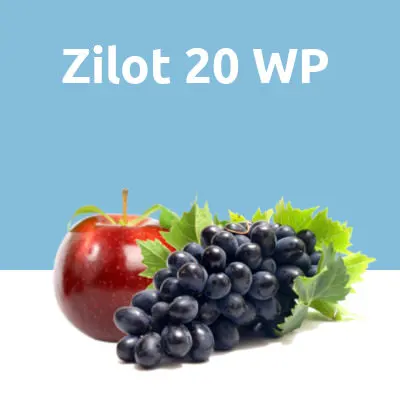 Zilot 20 WP