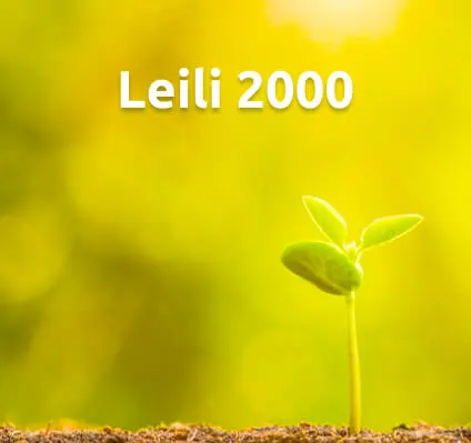 Leili 2000