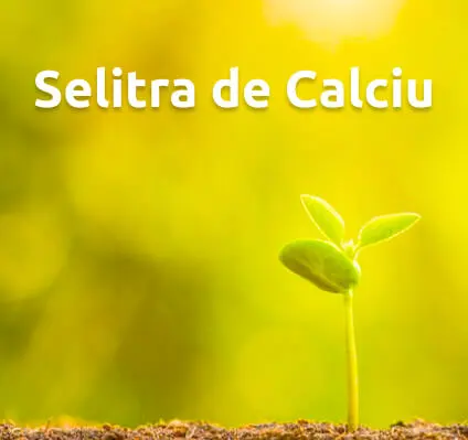 Selitra de Calciu