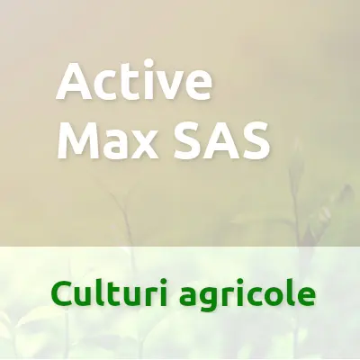 Active Max SAS