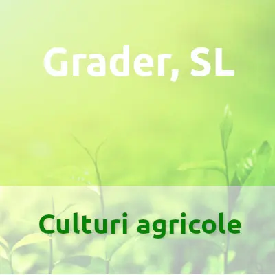 Grader, SL