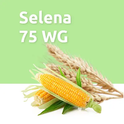 Selena 75 WG