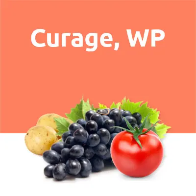 Curage, WP