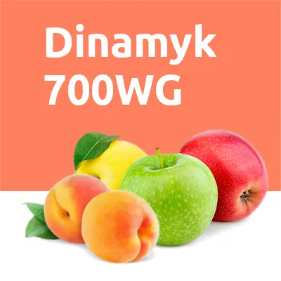 Dinamyk 700 WG
