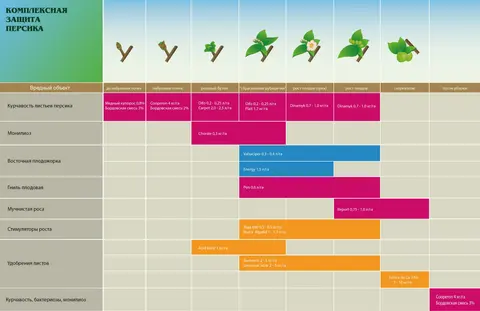 Scheme de protectie Piersic