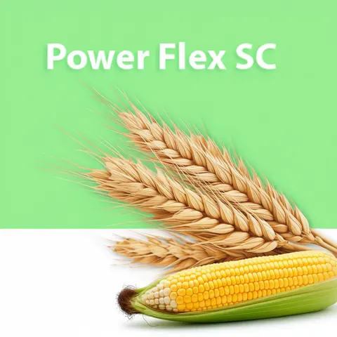 Power Flex SC