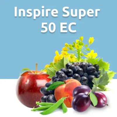Inspire Super 50 EC