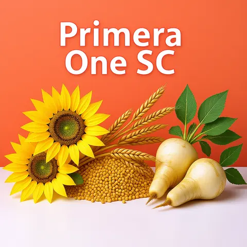 Primera One SC