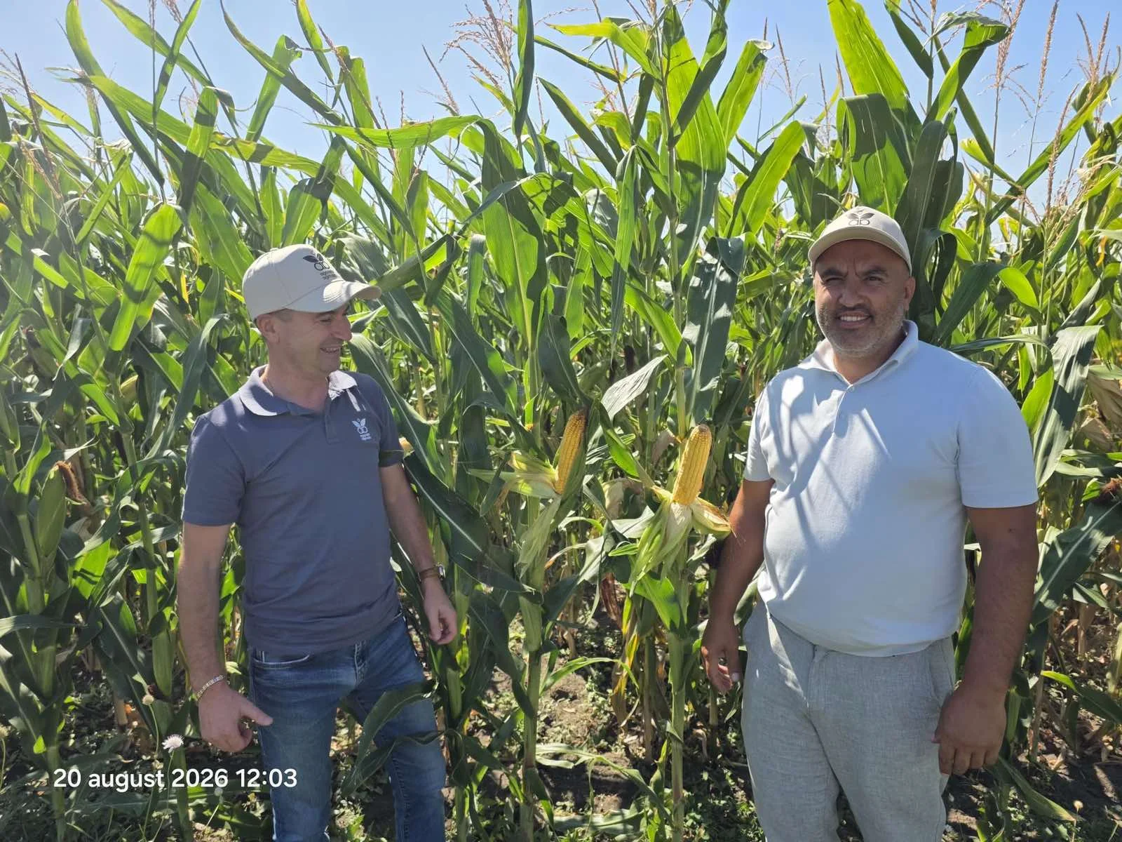 Specialiști Agarista Agricola și fermieri